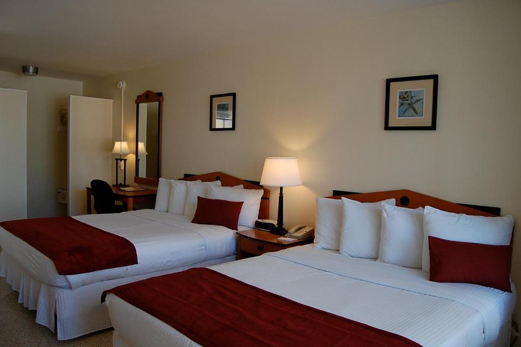 Alcazar Resort- Gay Mens Resort Φορτ Λόντερντεϊλ Δωμάτιο φωτογραφία