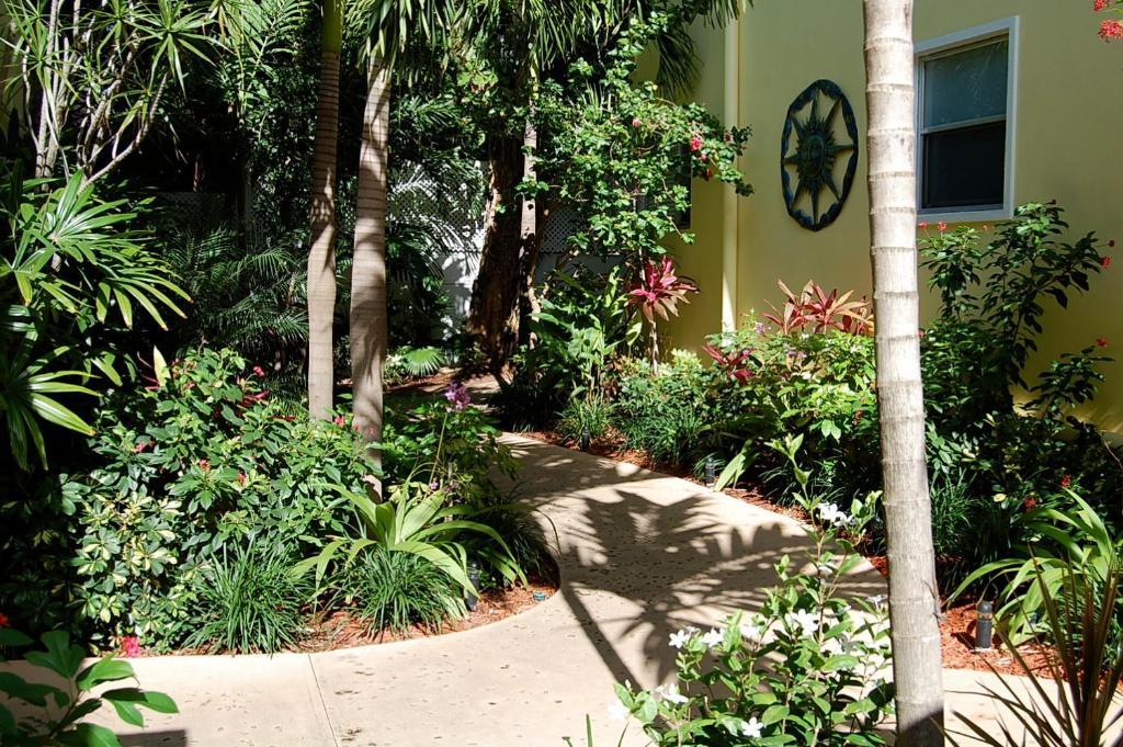 Alcazar Resort- Gay Mens Resort Φορτ Λόντερντεϊλ Εξωτερικό φωτογραφία